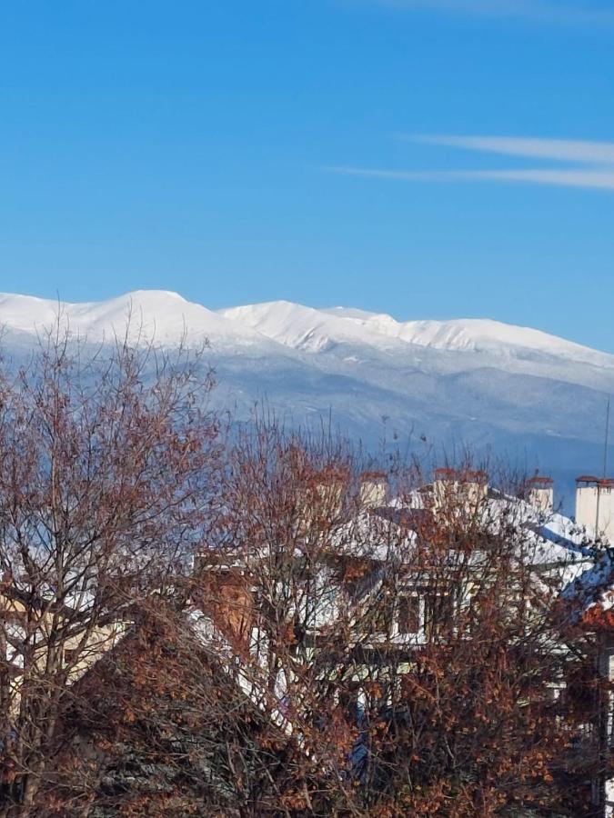 Лукс Апартамент Μπάνσκο Εξωτερικό φωτογραφία